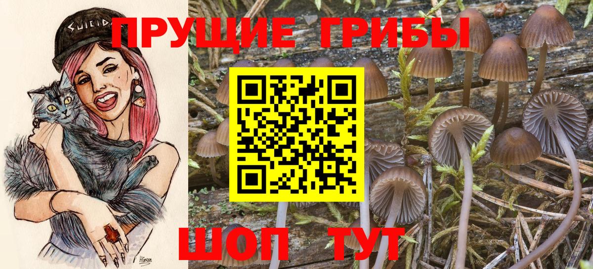 Псилоцибиновые грибы ЛСД  Вход с VPN  Обь 